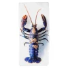 Stigerwoods Art Mural>Décoration Murale Homard Bleu / Fond Blanc - 20 X 40 Cm