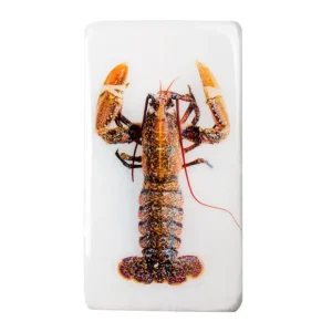 Stigerwoods Art Mural>Décoration Murale Homard Jaune / Fond Blanc - 20 X 35 Cm