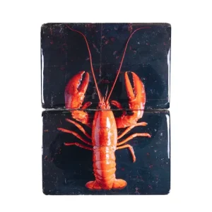 Stigerwoods Art Mural>Décoration Murale Homard Rouge / Fond Noir - 29 X 40 Cm