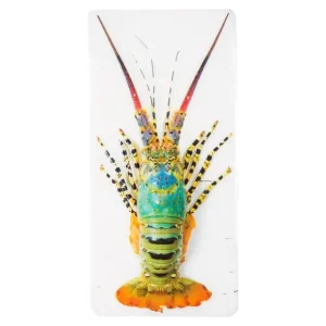 Stigerwoods Art Mural>Décoration Murale Jual Homard Laut - 20 X 40 Cm