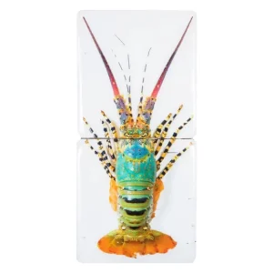 Stigerwoods Art Mural>Décoration Murale Jual Homard Laut 2 - 20 X 40 Cm