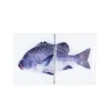 Stigerwoods Art Mural>Décoration Murale Poisson Arlequin Sur Fond Blanc - 40 Cm X 20 Cm