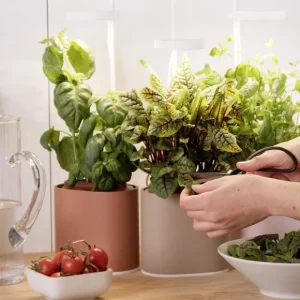 Prêt à pousser Pots & Jardinières>Jardin D'Interieur Connecte Nano Garden - Vert Foret