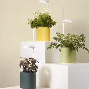 Prêt à pousser Pots & Jardinières>Jardin D'Interieur Connecte Nano Garden - Vert Foret