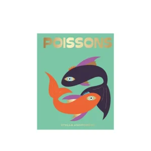 Hachette Livres>Livre Astrologie Signe Poissons