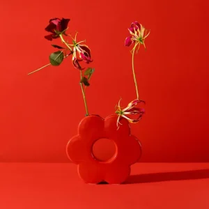 DOIY Vases>Vase Daisy Rouge