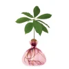 Ilex Studio Vases>Vase En Verre Pour Avocat Rose